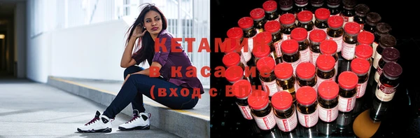 стаф Богданович