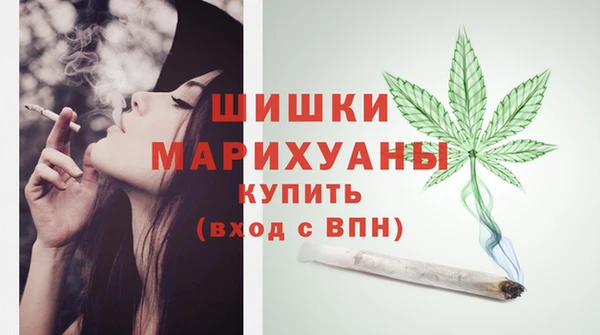 стаф Богданович