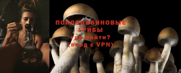кристаллы Бородино