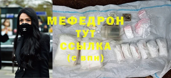 стаф Богданович