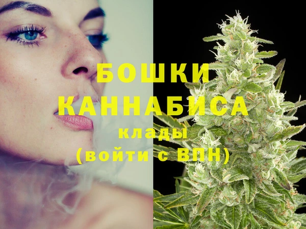 стаф Богданович