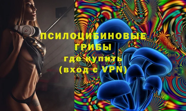 прущая мука Богородск