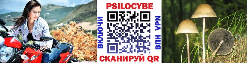 Галлюциногенные грибы Cubensis  цена   Нарткала 